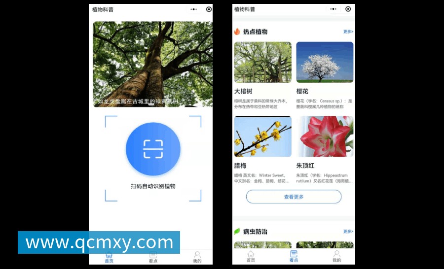 植物科普扫码系统